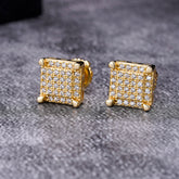 Fortunatus Sterling Silver Earrings